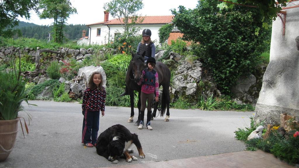 Вилла Tourist Farm Dujceva Domacija Vremski Britof Экстерьер фото